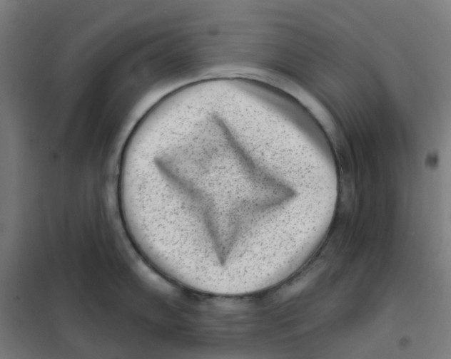 X0000101701102200808071153