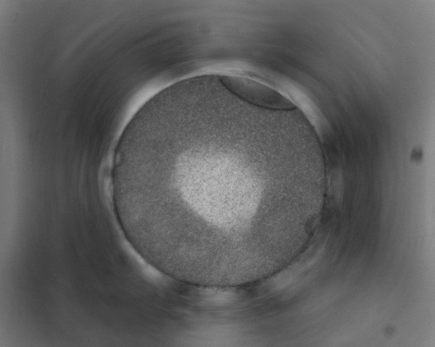 X0000101701103200808071153