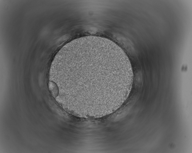 X0000101701105200808071152