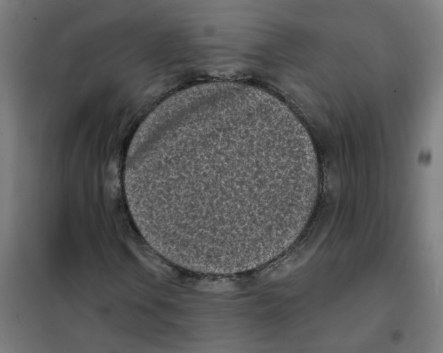 X0000101701106200808071152