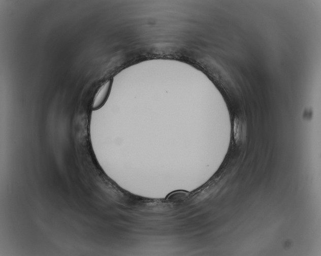X0000101701107200808071152