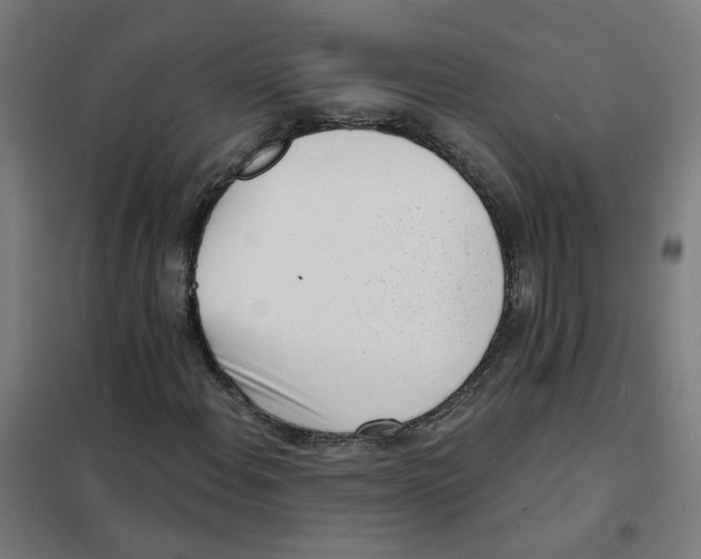 X0000101701108200808071152