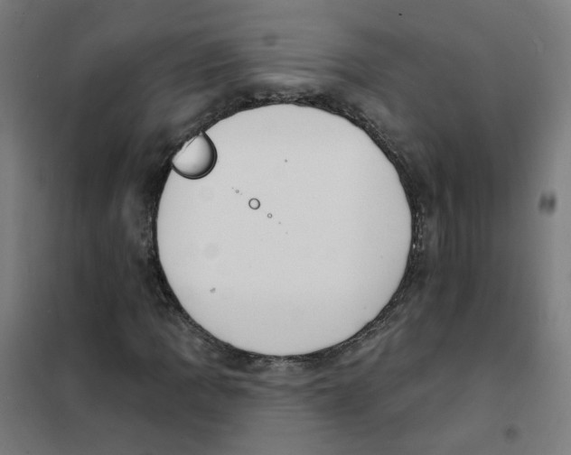 X0000101701109200808071152