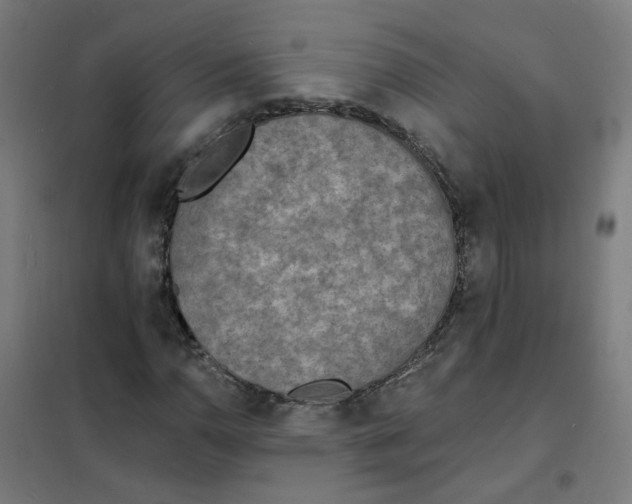 X0000101701110200808071152