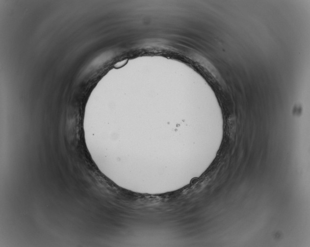 X0000101701111200808071152