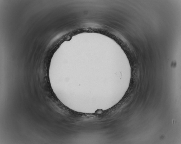 X0000101701112200808071152