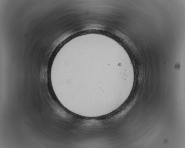X0000101701113200808071152