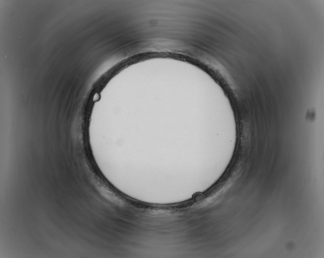 X0000101701114200808071152