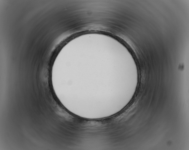 X0000101701115200808071152