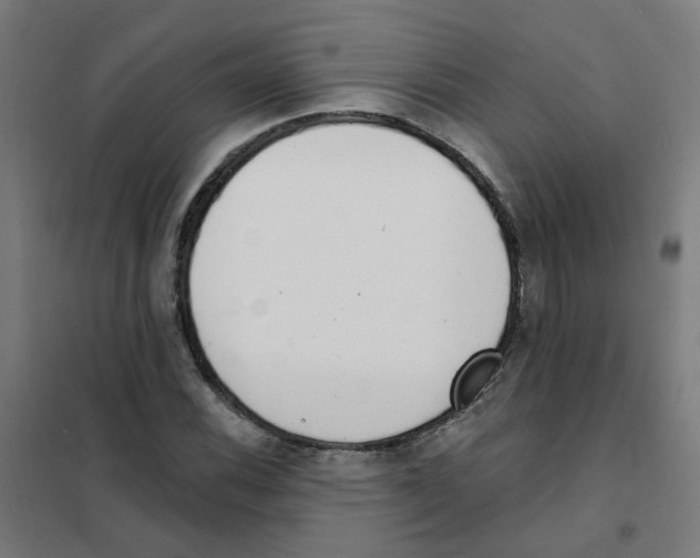 X0000101701116200808071152