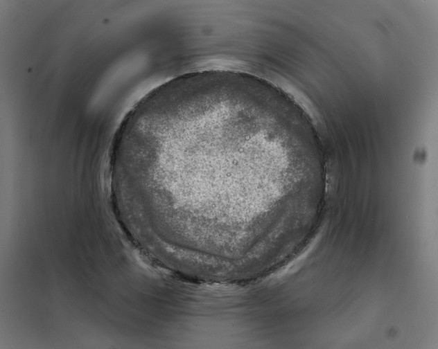 X0000101701117200808071152