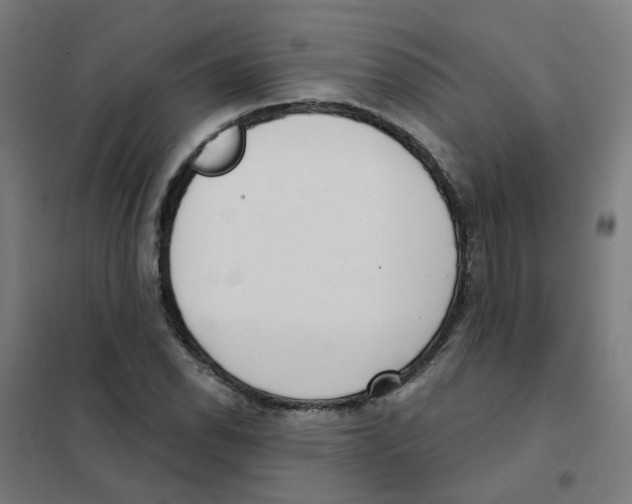 X0000101701118200808071152