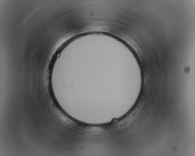X0000101701119200808071152
