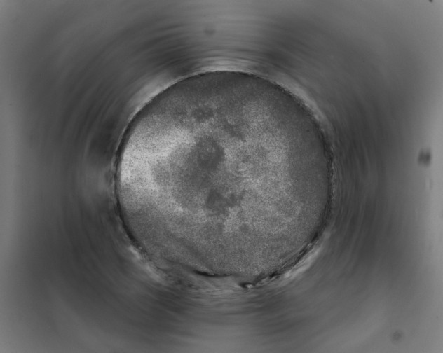 X0000101701121200808071152