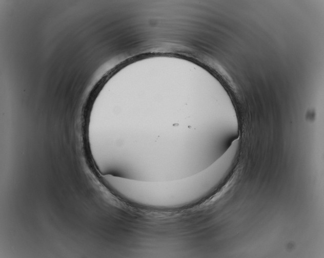 X0000101701122200808071152