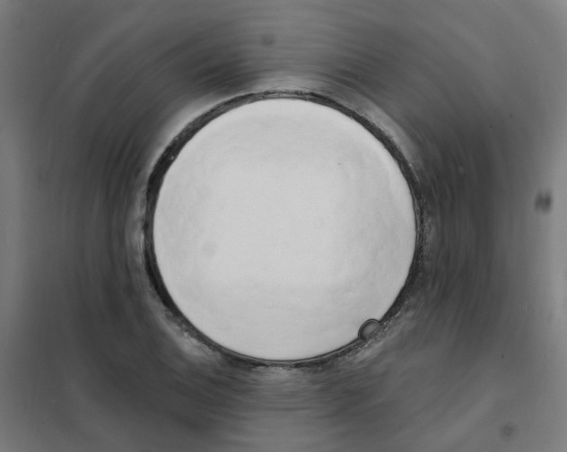X0000101701124200808071152