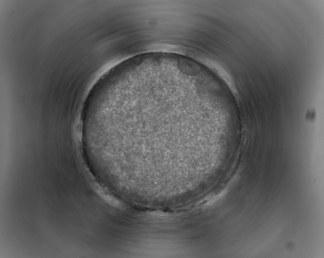 X0000101701125200808071152