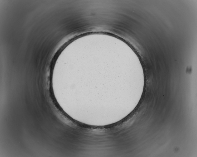 X0000101701126200808071152