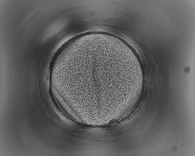X0000101701127200808071152