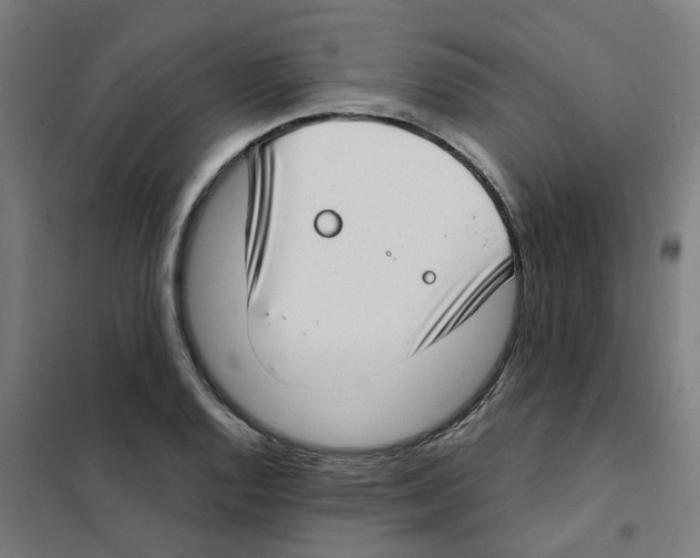 X0000101701128200808071152