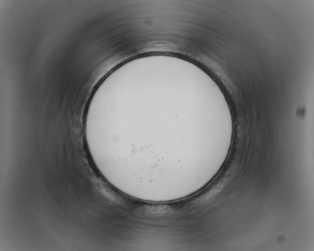 X0000101701129200808071152