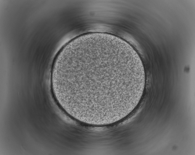X0000101701130200808071152
