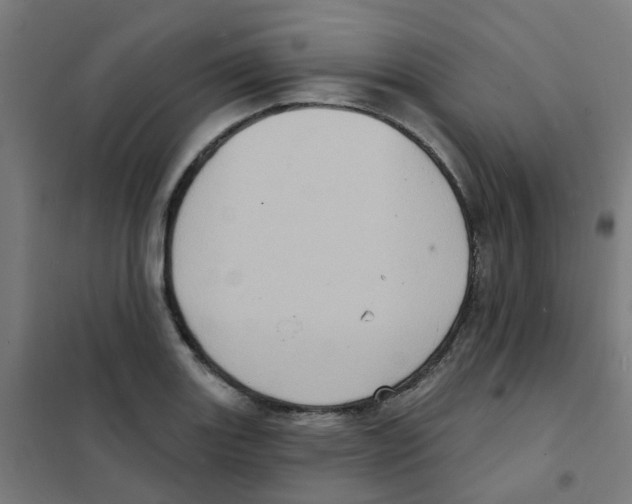 X0000101701131200808071152