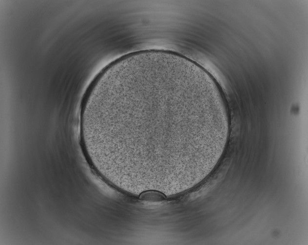 X0000101701132200808071152