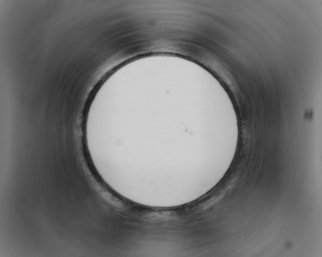 X0000101701133200808071152