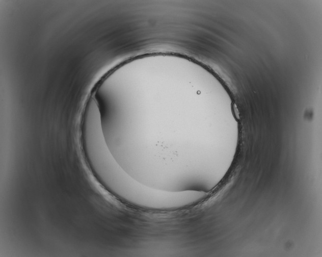 X0000101701134200808071152
