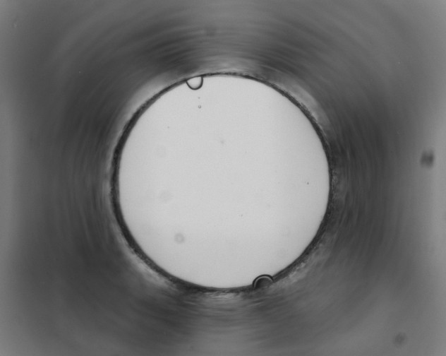 X0000101701135200808071152