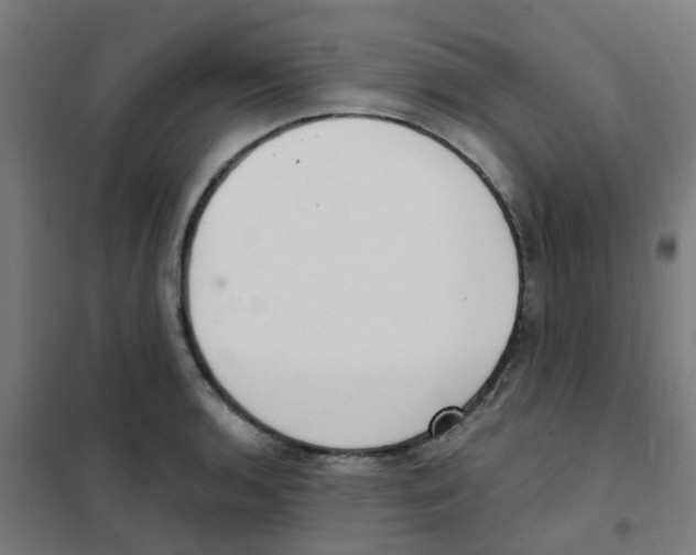 X0000101701136200808071152