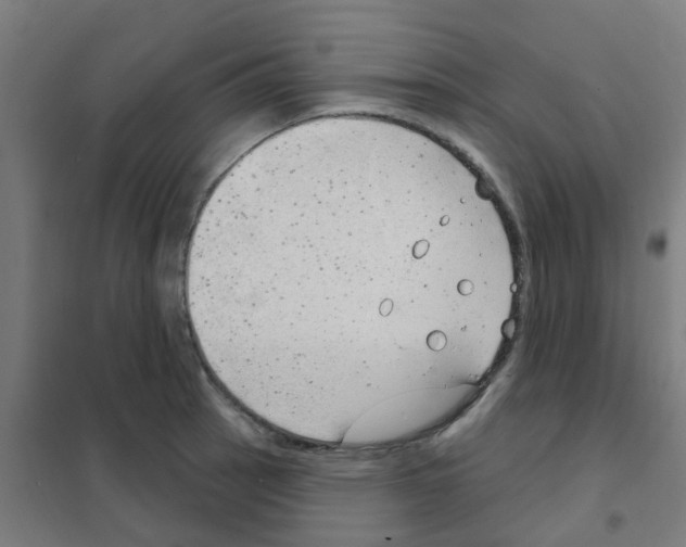 X0000101701137200808071152