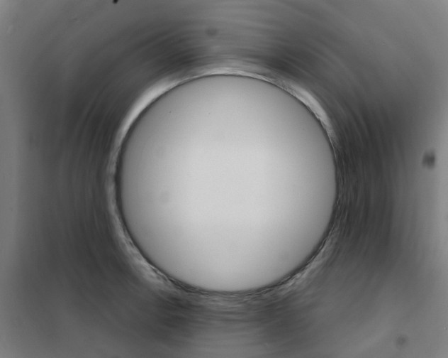 X0000101701138200808071152