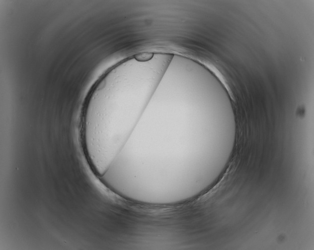 X0000101701139200808071152