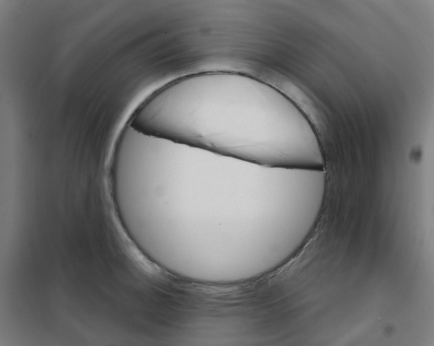 X0000101701140200808071152