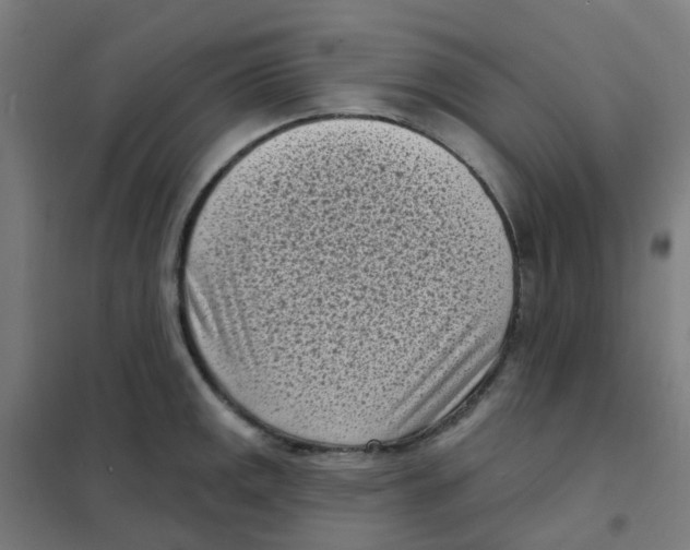 X0000101701141200808071152