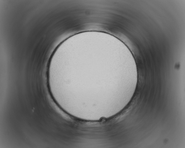 X0000101701142200808071152