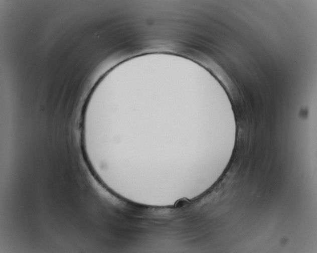 X0000101701143200808071152