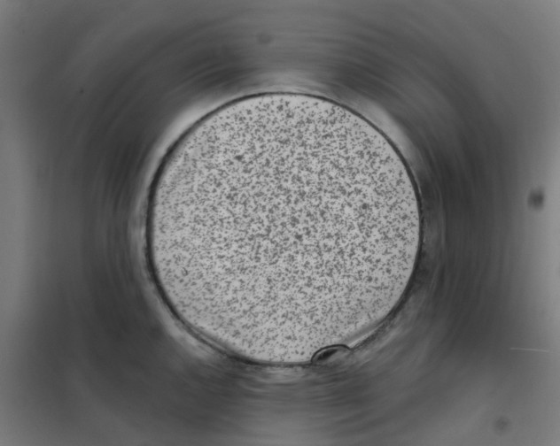 X0000101701144200808071152