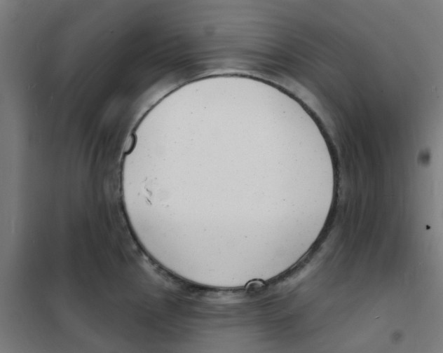 X0000101701145200808071152