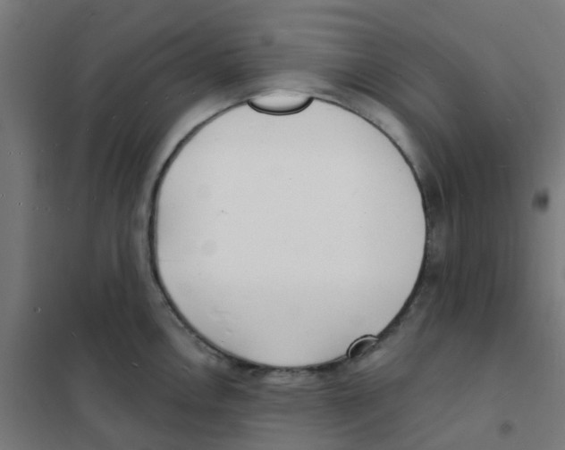 X0000101701146200808071152