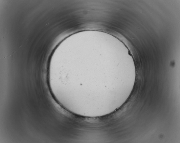 X0000101701147200808071152