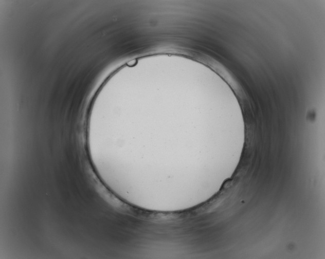 X0000101701148200808071152