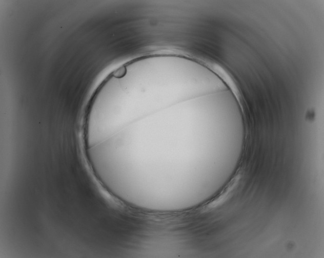 X0000101701149200808071152