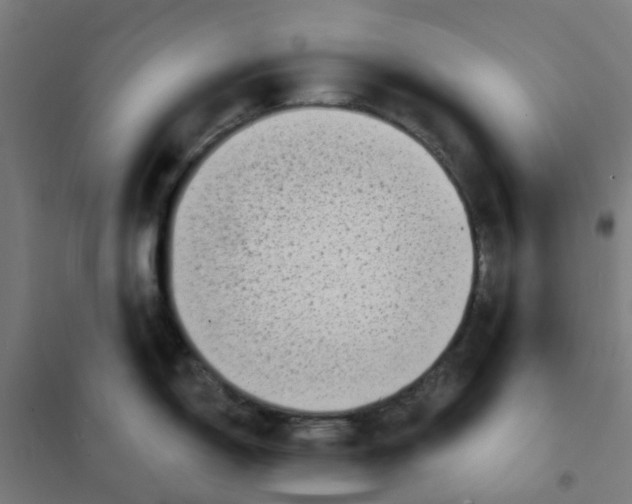 X0000101701150200808071152