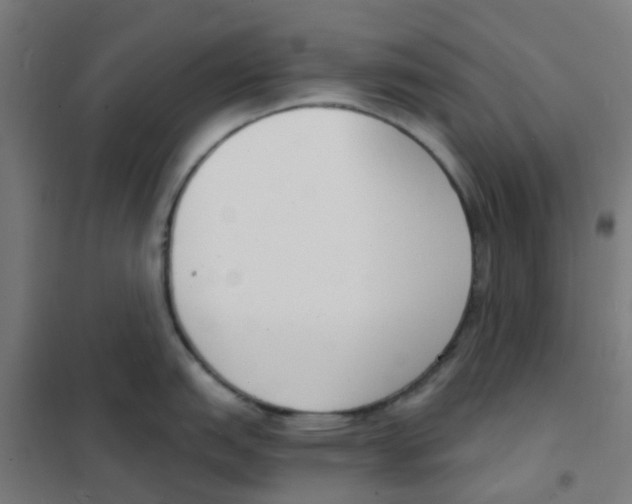 X0000101701151200808071152