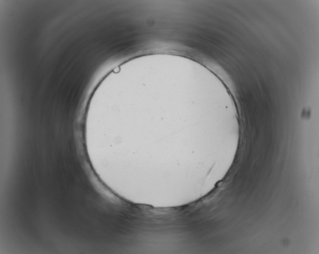 X0000101701152200808071152