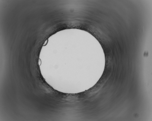 X0000101701153200808071152