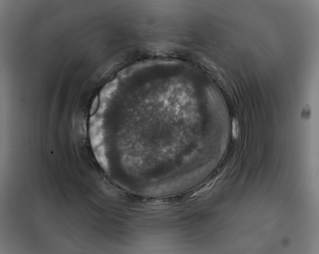 X0000101701155200808071152